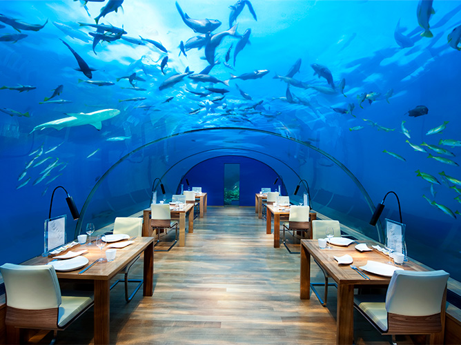 Conrad Ithaa Undersea Restaurant（康德莱海底餐厅）