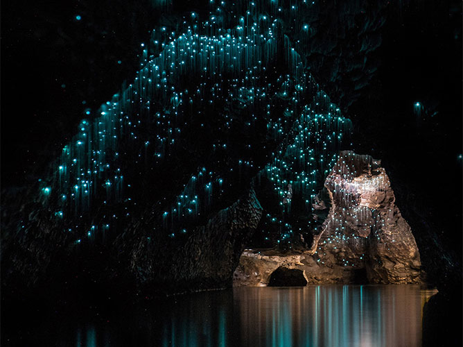 Waitomo cave Wedding（怀托摩萤火虫溶洞婚礼）