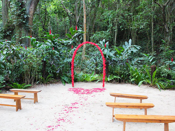 Koro Sun Rainforest（科洛阳光雨林）