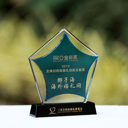 椰子海海外婚礼网荣膺第四届中国结婚「金标奖」